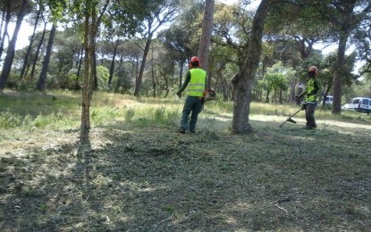 Tordera realitza la neteja de les franges perimetrals a les urbanitzacions per prevenir incendis a l’estiu