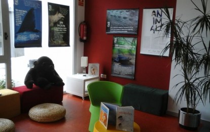 Ens endinsem a l’espai infantil de la biblioteca de Tordera