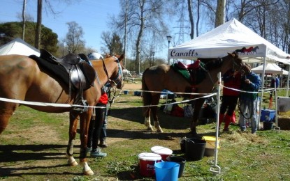 Aquest passat cap de setmana es va celebrar el Vè. Raid Internacional de Tordera i Tordera en Directe hi va ser per entrevistar el president del jurat