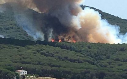 Tordera posa en marxa mesures per reduir el risc d’incendi durant l’estiu