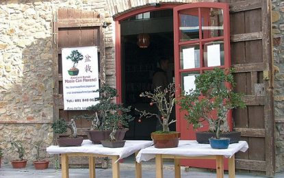 L’Associació Bonsai Masia Can Florenci és la convidada d’aquesta setmana a “La Teranyina”