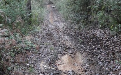 Descobrint Tordera busca la Mina d’Or