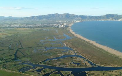 Diversos itineraris ens permeten conèixer el parc natural dels Aiguamolls de l’Empordà