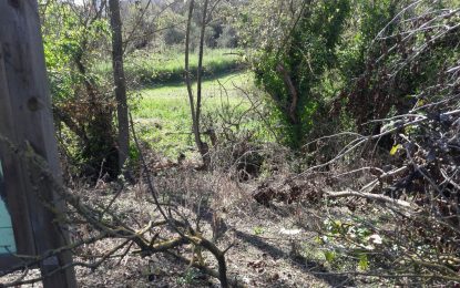 Descobrim Tordera, avui l’estany de cal Raba