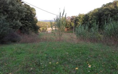Descobrint Tordera ens porta fins a la maria de Can Rosbuc, al veïnat de Sant Vicenç
