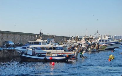 La flota d’arrossegament comença la veda biològica fins al 4 de març
