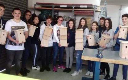 Els alumnes de l’institut Lluís Companys munten i instal·len caixes niu per a ratpenats i mallerengues per lluitar contra la processionària