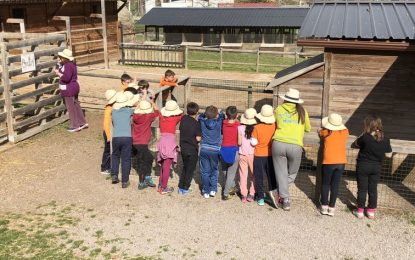 Els alumnes de l’escola Serra de Miralles que estan de colònies faran avui les últimes activitats abans de tornar cap a Tordera
