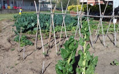 El Tren de la Vida entrevista els voluntaris que s’encarreguen de l’hort de la residència Can Comte
