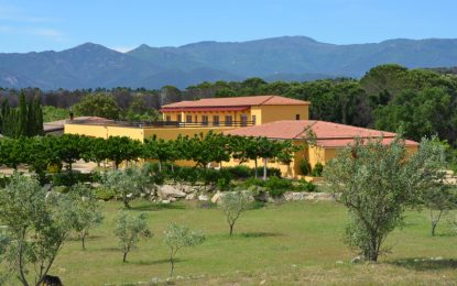 Uns torneigs per equips han ocupat la tarda del segon dia de colònies dels alumnes de 2n, 4t i 6è de l’escola Vedruna Tordera