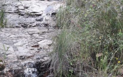 En Rafel Planas ens descobreix un salt d’aigua que hi ha just a sota de la urbanització de Roca-rossa