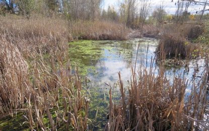 La Generalitat concedeix una subvenció per la millora de diferents espais naturals de Tordera