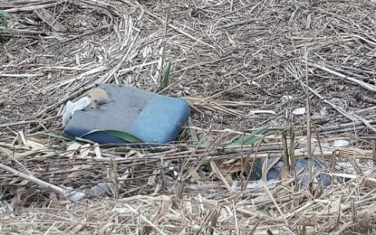 Per minimitzar la contaminació dels rius i mars en Sergi Fontseca ens parla de les 4 R’s: reduir, reciclar, reutilitzar i repensar