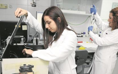 La precarietat laboral dels investigadors científics nacionals fa que molts provin de marxar a l’estranger