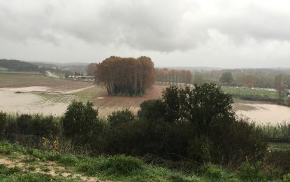 El creixement de la Tordera provoca incidents a diferents punts del municipi