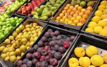 Agricultura busca pagesos que vulguin arrencar fruiters de pinyol per combatre la crisi de preus