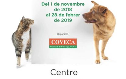 Campanya d’esterilització d’animals domèstics fins el 28 de febrer