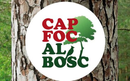 Comença la prohibició de fer foc al bosc