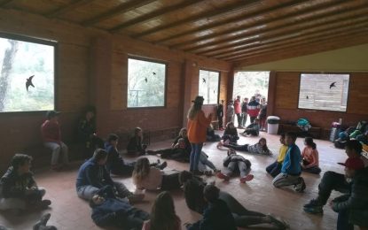 La pluja ha acompanyat l’últim matí de colònies dels alumnes de 6è de l’Ignasi Iglesias