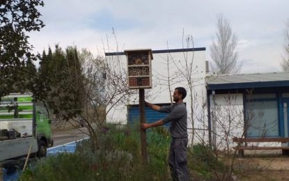 Instal·lats cinc nous “Hotels d’insectes” creats pels alumnes de 1r ESO de l’Institut Lluís Companys