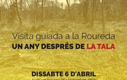 CUP Tordera organitza una visita guiada a la Roureda de Can Verdalet, un any després de la tala il·legal