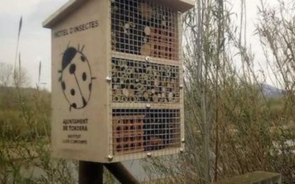 Tordera participa de la setmana de la natura