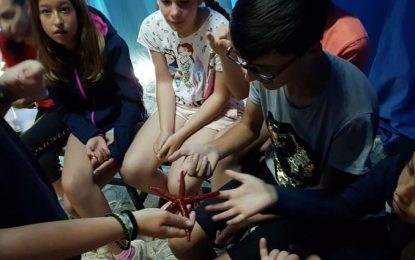 La temperatura de l’aigua no és un impediment per que els alumnes de 6è de La Roureda practiquin caiac i paddle surf