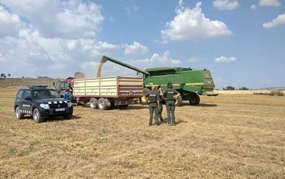 Prohibició de segar durant les properes 48 hores