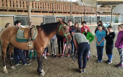 Els alumnes del Serra de Miralles acaben el seu segon dia de colònies molt cansats