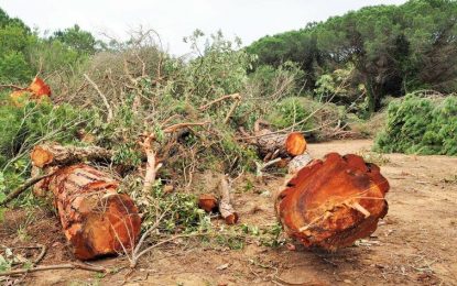 Comunicat d’En Comú Podem Tordera satisfets per l’aturada de les obres a la C-32