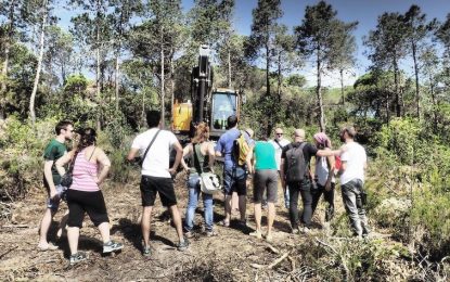 Detenen una activista per atemptat a agent de l’autoritat quan intentava evitar la tala d’arbres per la C-32