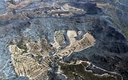 L’incendi de la Ribera d’Ebre porta a la Cristina a parlar de l’abandonament progressiu de d’agricultura