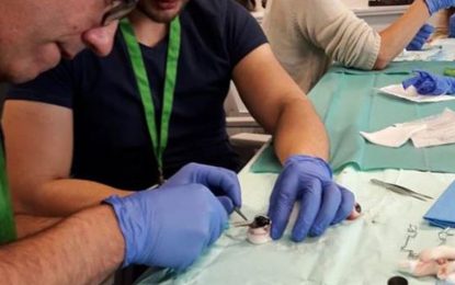 Avui fa un any l’Hospital de Calella registrava la primera donació de còrnies