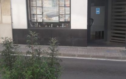 La Trini Paz porta 15 anys organitzant viatges arreu del món per als torderencs