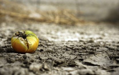 Avui amb la nutricionista Clara Muñoz Puig fem conscienciació sobre el canvi climàtic i la relació que hi té amb el món alimentari