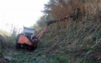 L’àrea de medi rural treballa en la neteja i manteniment dels recs i rieres locals