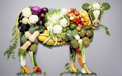 L’Estela ens parla de la vitamina B-12 i el veganisme a la seva píndola d’opinió