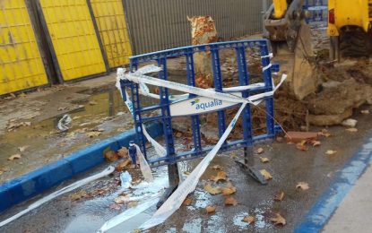 Les arrels dels arbres provoquen una avaria en el subministrament d’aigua al Camí Ral
