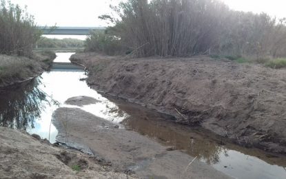 L’Ajuntament continua impulsant mesures de protecció davant avingudes d’aigua en un tram de la riera de Vallmanya