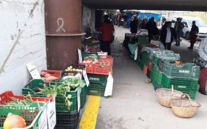 El Fem Empresa ens explica tot el que podem trobar a la parada d’agricultura ecològica de la Maria Riera al mercat dels diumenges