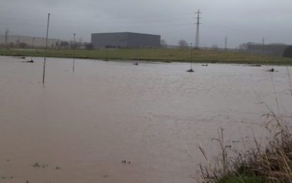 El desbordament de la Tordera afecta 326 hectàrees de conreu a Blanes, Malgrat, Palafolls i Tordera