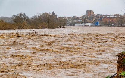 Resum informatiu de l’any: el temporal Glòria