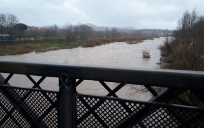 El temporal provoca diverses incidències a Tordera i el cabal del riu ja supera el nivell d’alerta