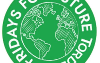 Fridays for Future Tordera continua amb les seves concentracions davant de l’Ajuntament