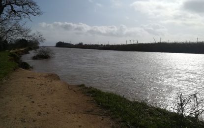 Entitats, científics i tècnics reclamen alliberar la desembocadura de la Tordera i reubicar tubs de la dessaladora