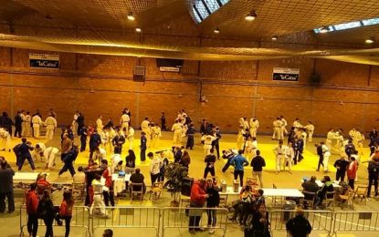 El Club Judo Tordera participa a la Supercopa de Catalunya amb set esportistes