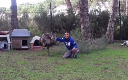 Tordera en directe visita el centre de refugi i recollida d’animals abandonats de Por Ellos a Tordera