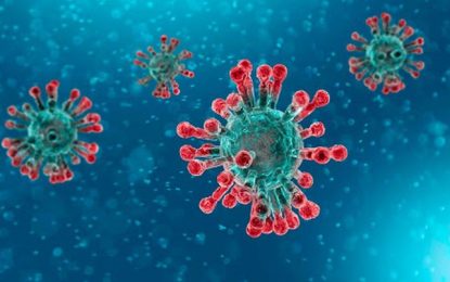 69 ingressats per coronavirus als Hospitals de la Corporació