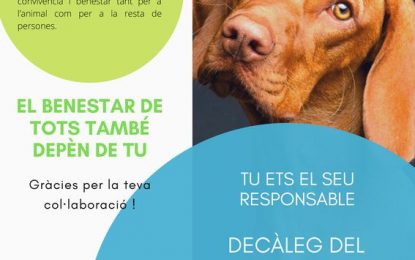 S’impulsa una campanya de recordatori sobre el compliment de l’ordenança de tinença d’animals domèstics