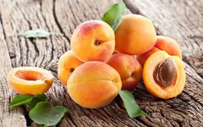 L’Ona Maresme analitza els beneficis dels aliments d’aquesta temporada amb la Sílvia Vendrell